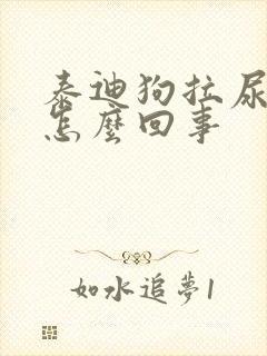 泰迪狗拉尿有血怎么回事