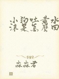 小狗吐黄水带泡沫是怎么回事