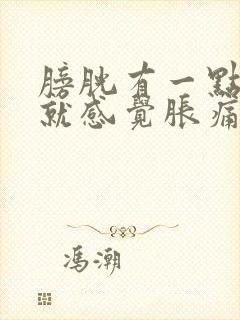 膀胱有一点点尿就感觉胀痛