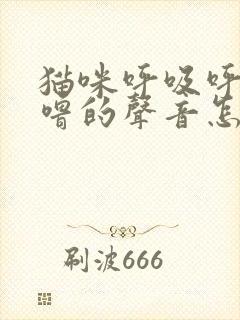 猫咪呼吸呼噜呼噜的声音怎么回事