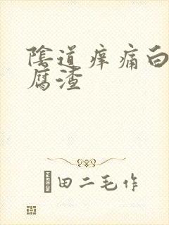 阴道痒痛白带豆腐渣