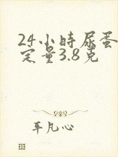 24小时尿蛋白定量3.8克