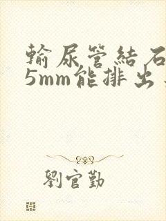 输尿管结石9*5mm能排出来吗