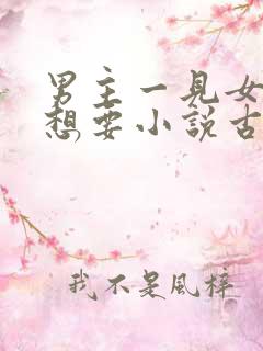 男主一见女主就想要小说古言