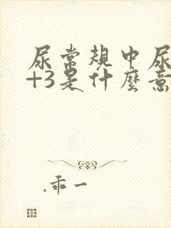 尿常规中尿蛋白+3是什么意思