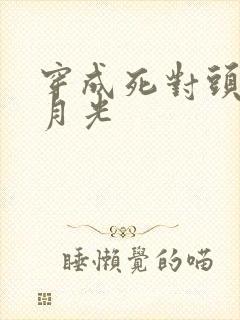 穿成死对头的白月光