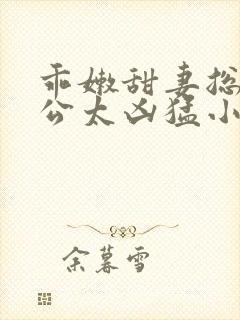 乖嫩甜妻总裁老公太凶猛小说免费阅读