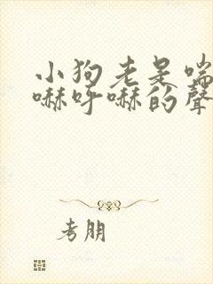 小狗老是喘气呼哧呼哧的声音怎么办