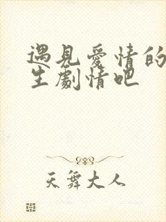 遇见爱情的利先生剧情吧