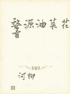 婺源油菜花几月看