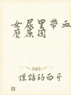 女尿里带血是什么原因