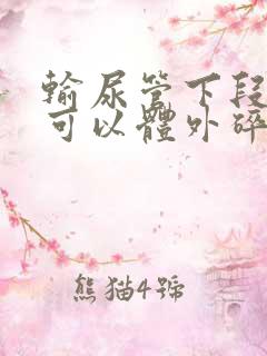 输尿管下段结石可以体外碎石能排出来吗