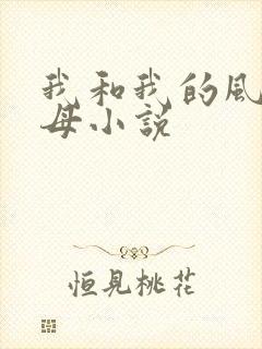 我和我的风骚岳母小说