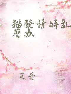 猫发情时乱尿怎么办