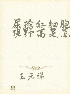 尿检红细胞高倍视野高是怎么回事