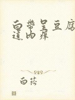 白带呈豆腐渣阴道内痒