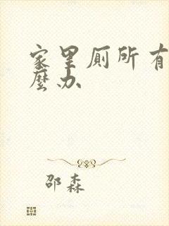 家里厕所有味怎么办