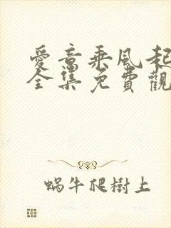 爱意乘风起短剧全集免费观看