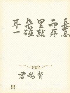 耳朵里面长疙瘩一碰就疼怎么回事