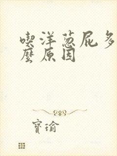 吃洋葱屁多是什么原因