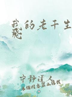 我的老千生涯腾飞