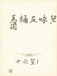 马桶反味儿的原因