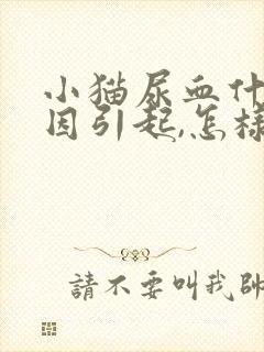 小猫尿血什么原因引起,怎样治疗