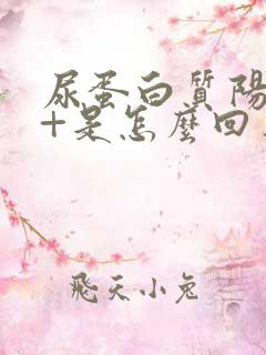 尿蛋白质阳性1+是怎么回事