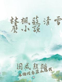 林枫苏清雪是什么小说