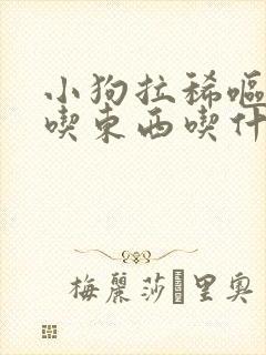 小狗拉稀呕吐不吃东西吃什么药