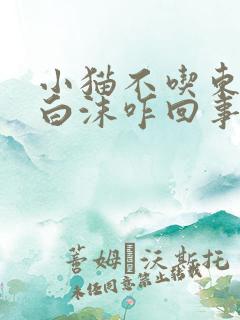 小猫不吃东西吐白沫咋回事