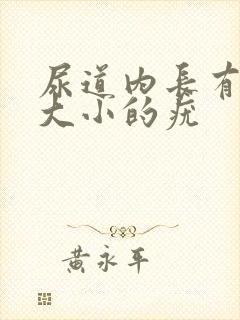 尿道内长有米粒大小的疣