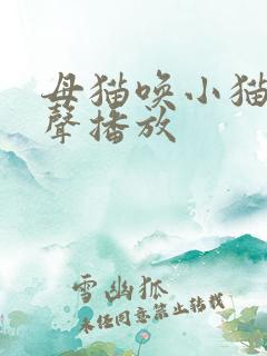 母猫唤小猫的叫声播放