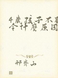 4岁孩子不听指令什么原因