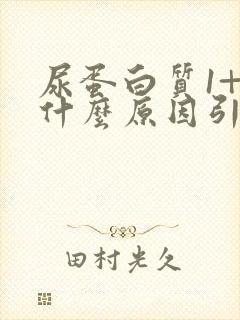 尿蛋白质1+是什么原因引起的