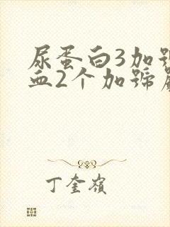 尿蛋白3加号潜血2个加号严重吗