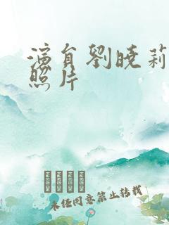 演员刘晓莉年轻照片