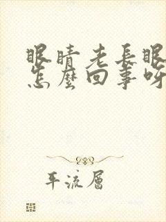 眼睛老长眼屎是怎么回事呀