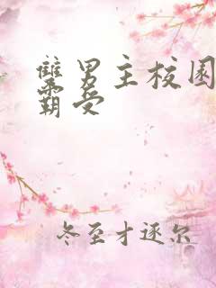 双男主校园文校霸受