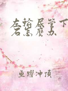 左输尿管下段结石怎么办