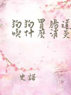 狗狗胃肠道感染吃什么消炎药