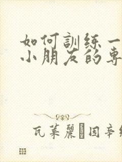 如何训练一年级小朋友的专注力