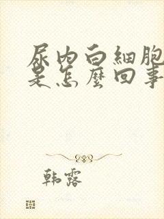 尿内白细胞增多是怎么回事