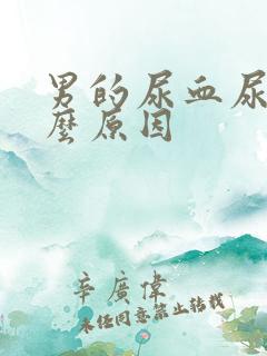 男的尿血尿是什么原因