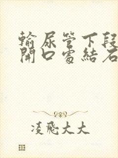 输尿管下段膀胱开口处结石