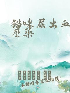 猫咪尿出血吃什么药