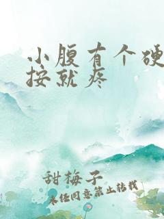 小腹有个硬块一按就疼