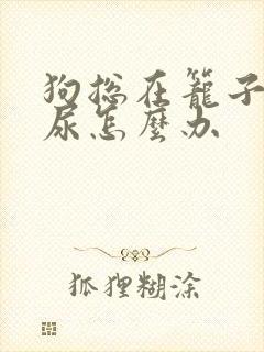 狗总在笼子里拉尿怎么办