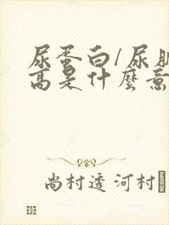 尿蛋白/尿肌酐高是什么意思