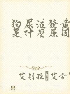 狗尿液发黄很稠是什么原因